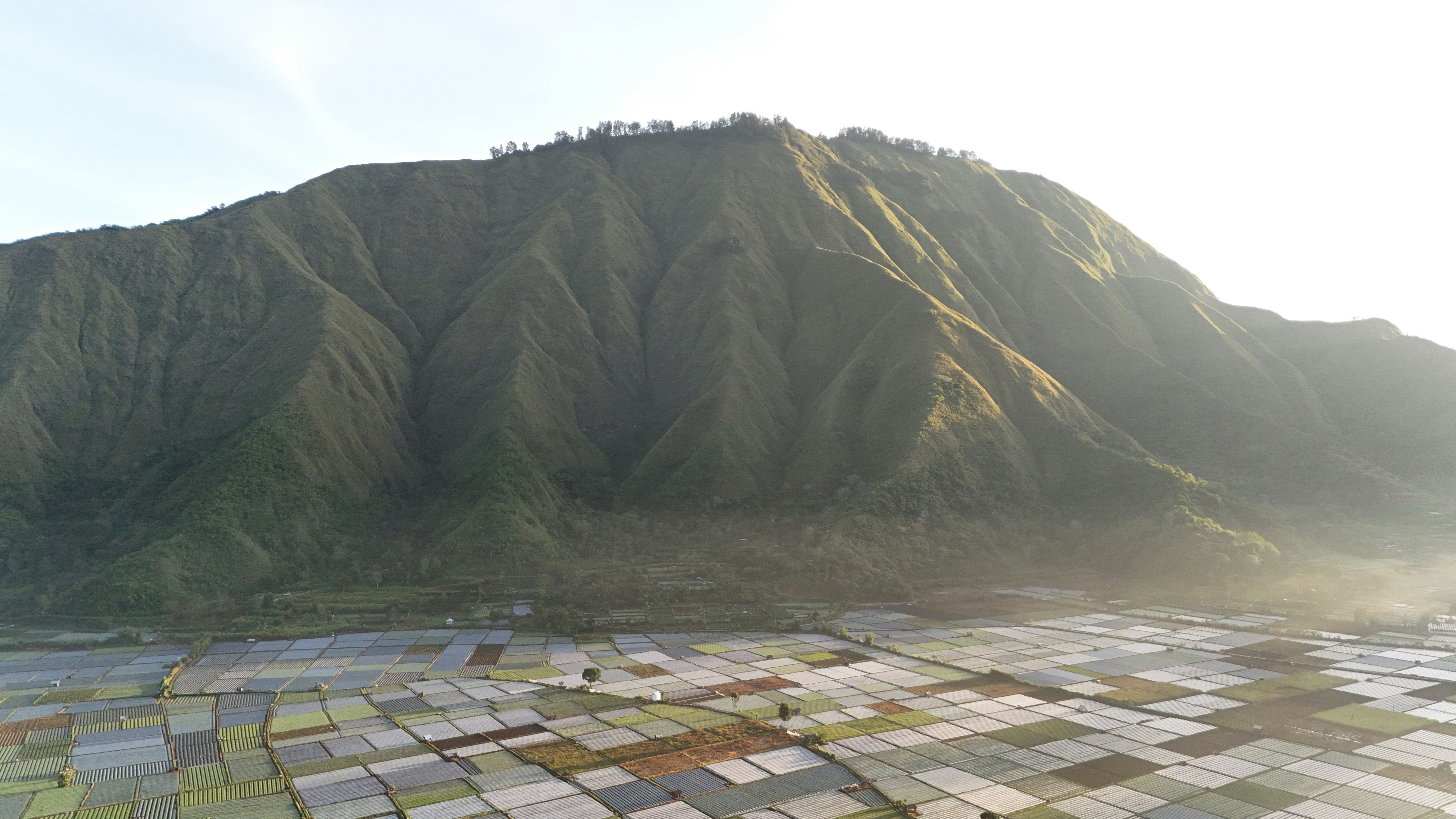 Southeast Asian development landscape